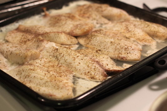 fish for the oven