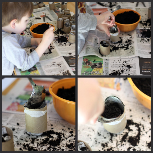 filling the toilet paper planters
