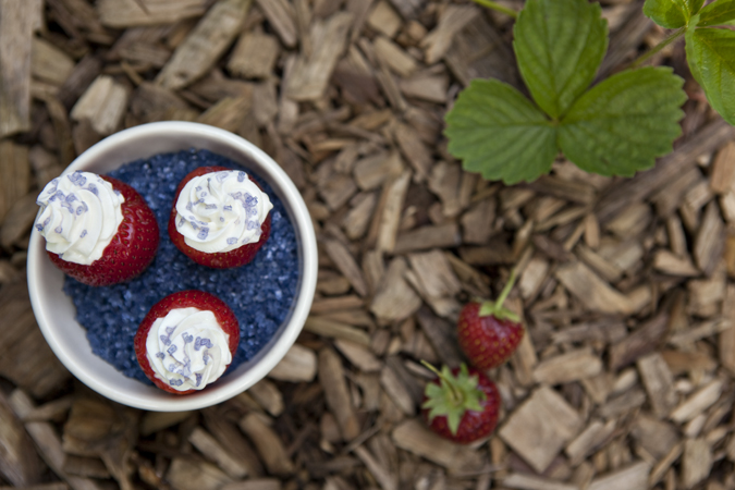 red, white and blue cheesecake-stuffed strawberries for the fourth of july