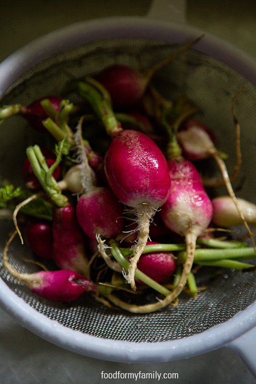 Quick and Easy Pink Pickled Radishes via FoodforMyFamily.com #recipe
