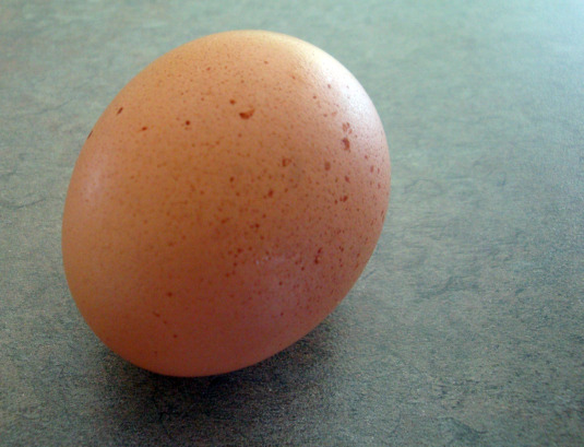 brown-egg