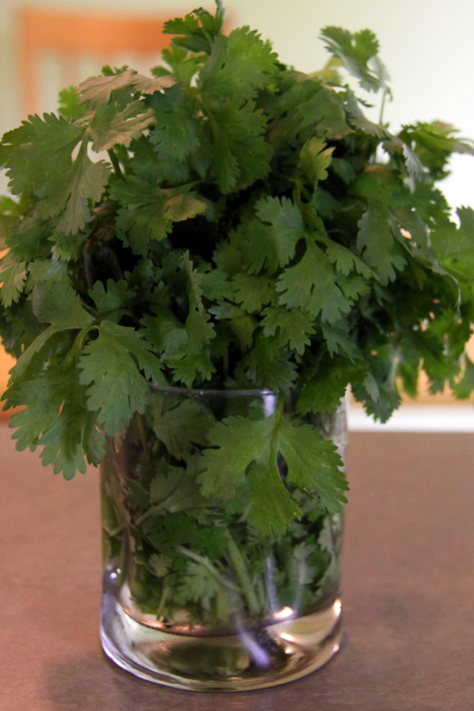 parsley-in-a-glass