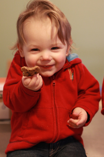 cute boy with cookie